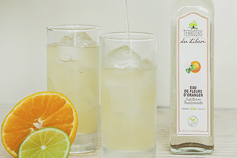 ����󥸥ե������������Υ��͡��ɥ����å�