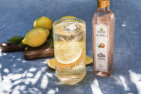 ����󥸥ե������������Υ��͡���