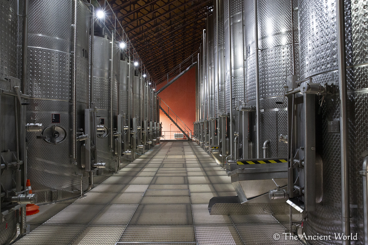 �ǿ�������