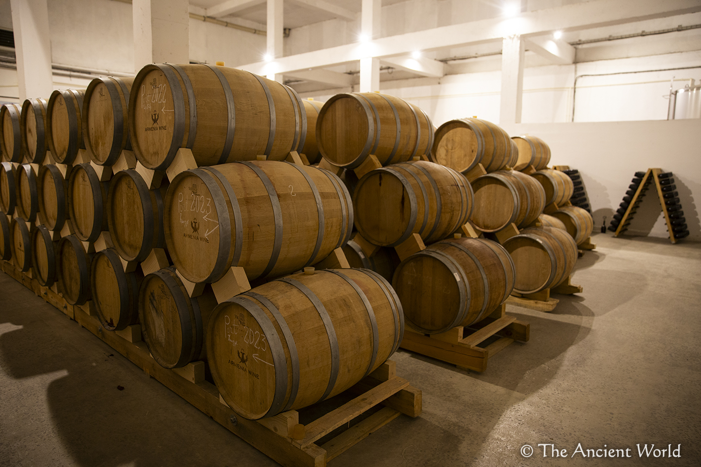 �磻��î����¢��