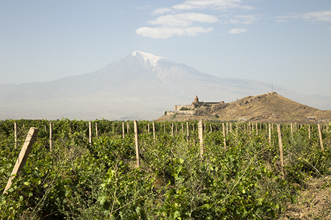 �����˥�